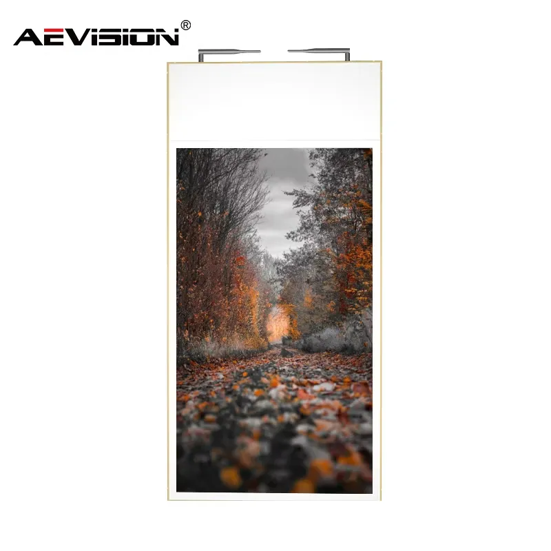 Media Ad Player Photo 3