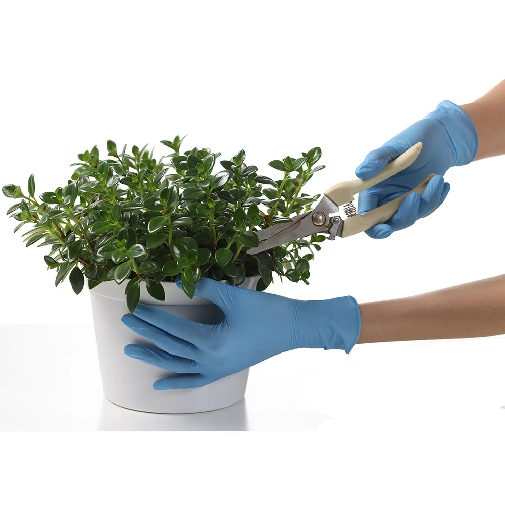 Blue Powder-Free Household Laboratory Kitchen Factory Food Grade Nitrile Gloves