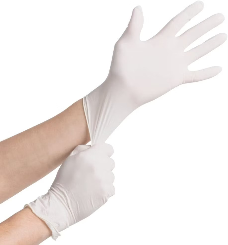 Latex Vinyl Safety Examination Disposable Protective Glove Powder Free or Powdered with USP Absorbable Corn Starch