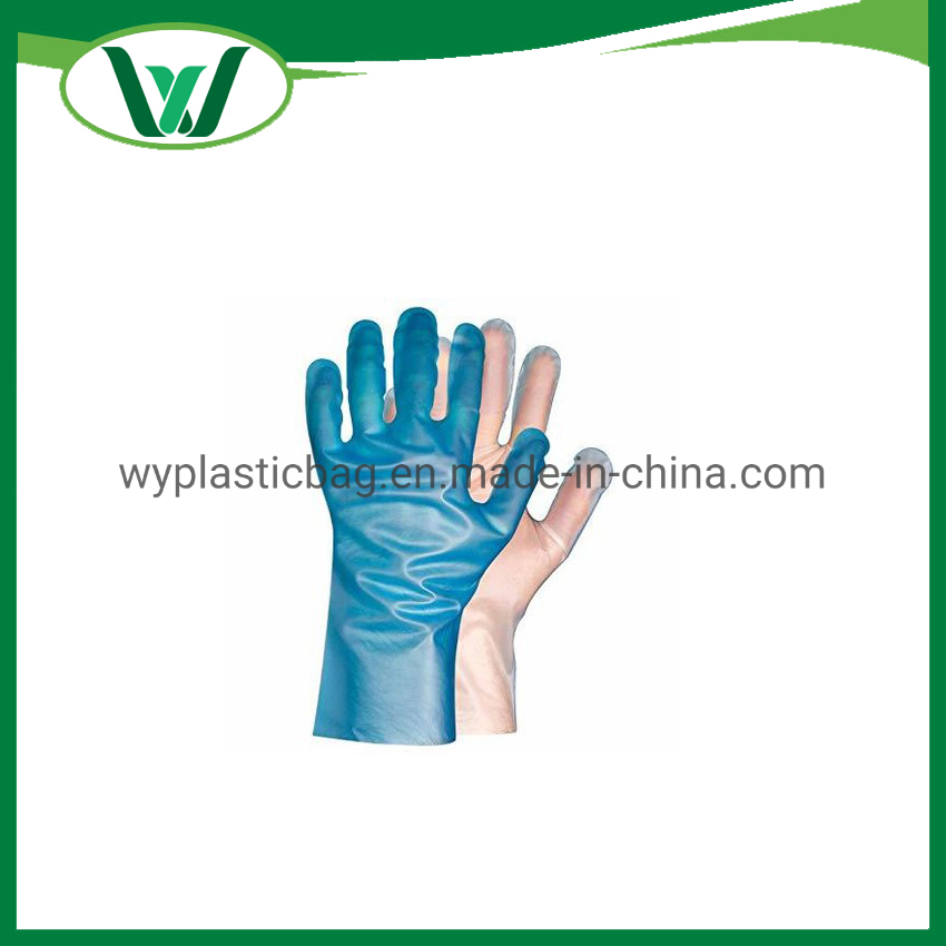 Factory Wholesale PVC TPE HDPE PE Powder Free for Food Clear Transparent Household Cleaning Plastic Disposable Vinyl Gloves