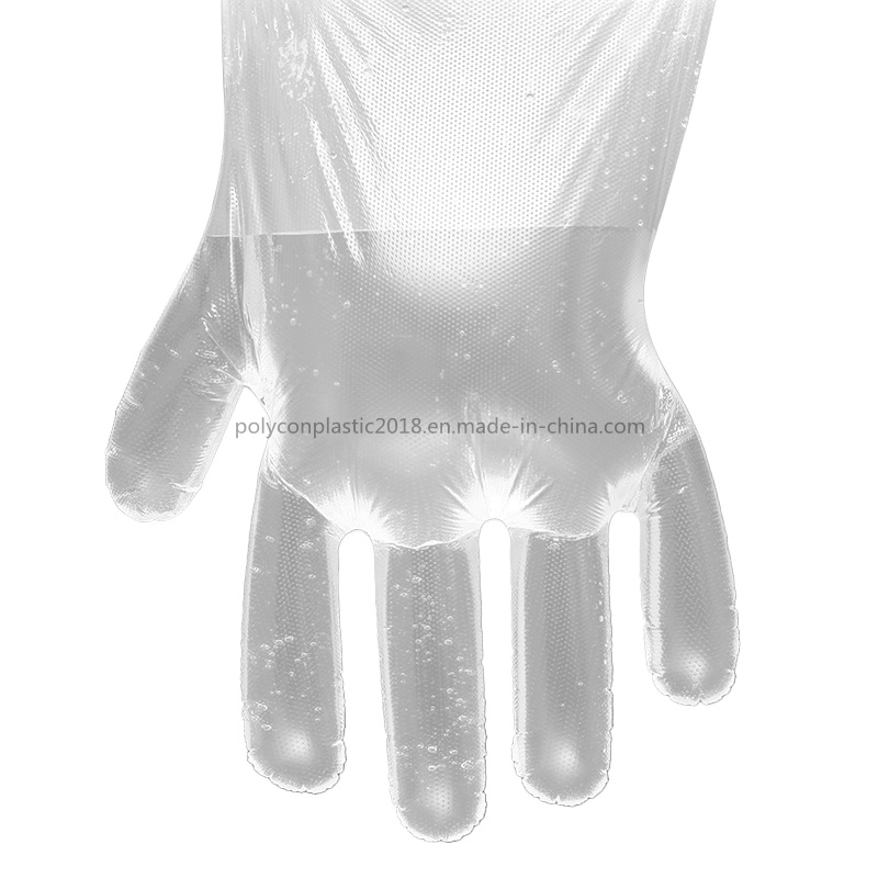 Kitchen Multipurpose Waterproof PE Plastic Gloves Disposable Gloves