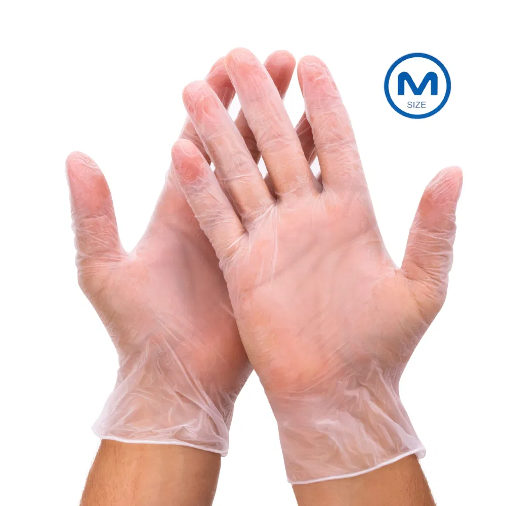 Food Grade Disposable Vinyl Gloves Examination Gloves Powdered or Powder Free