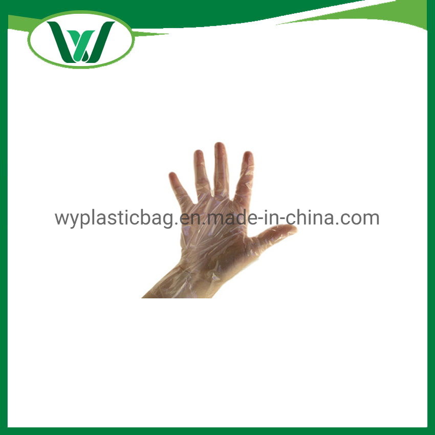 Factory Wholesale PVC TPE HDPE PE Powder Free for Food Clear Transparent Household Cleaning Plastic Disposable Vinyl Gloves