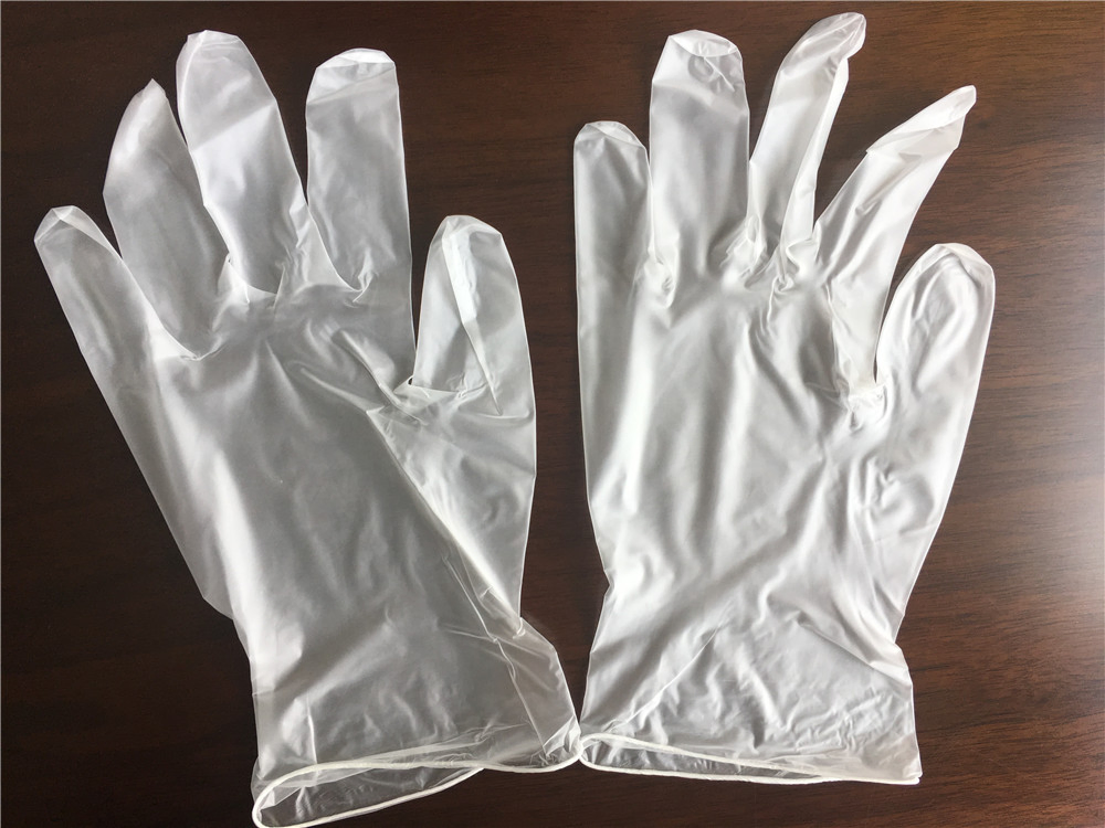 Disposable Vinyl PVC Gloves with OEM Brand for Lab and Food Service Use