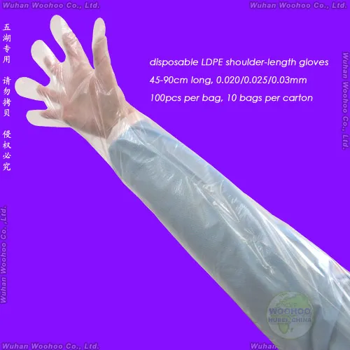 Veterinary Gloves Display