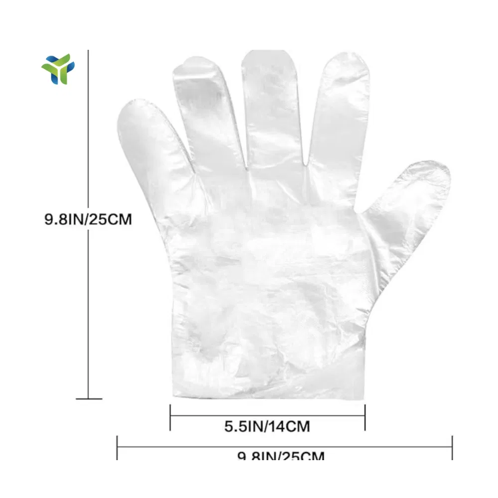 Disposable Gloves Showcase