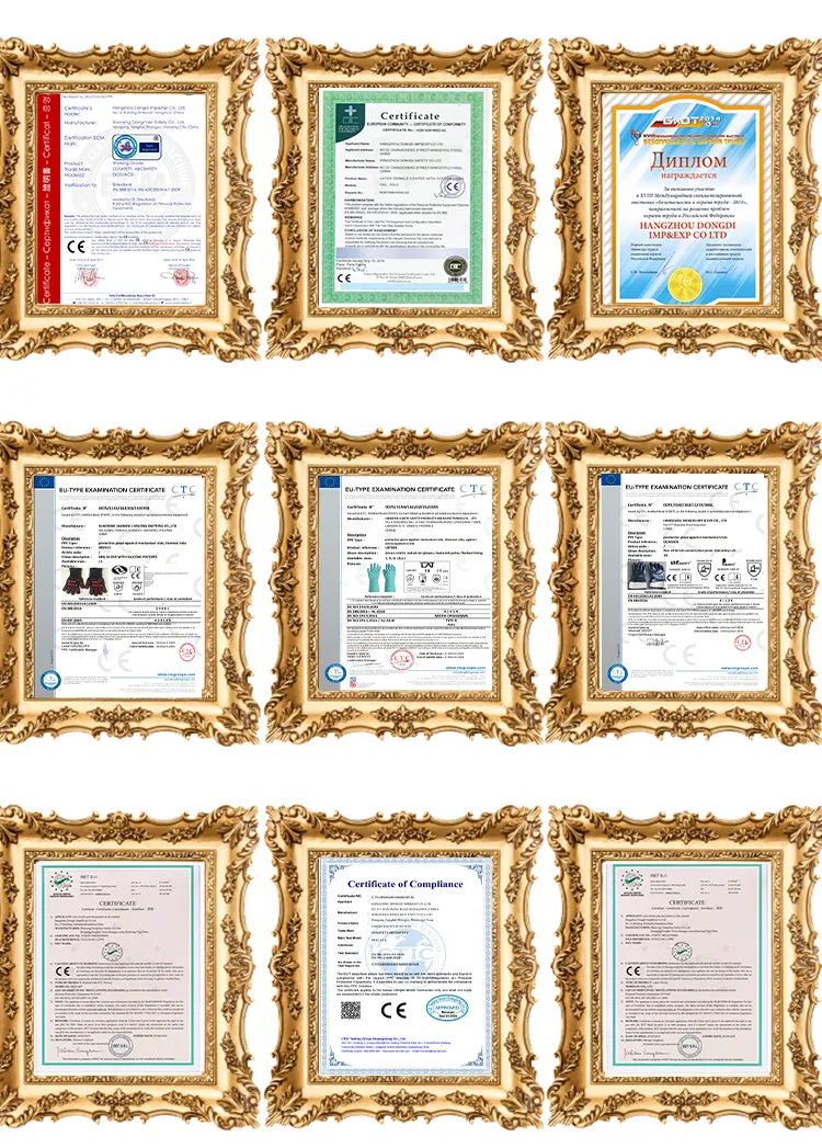 CE Certificates and Standards