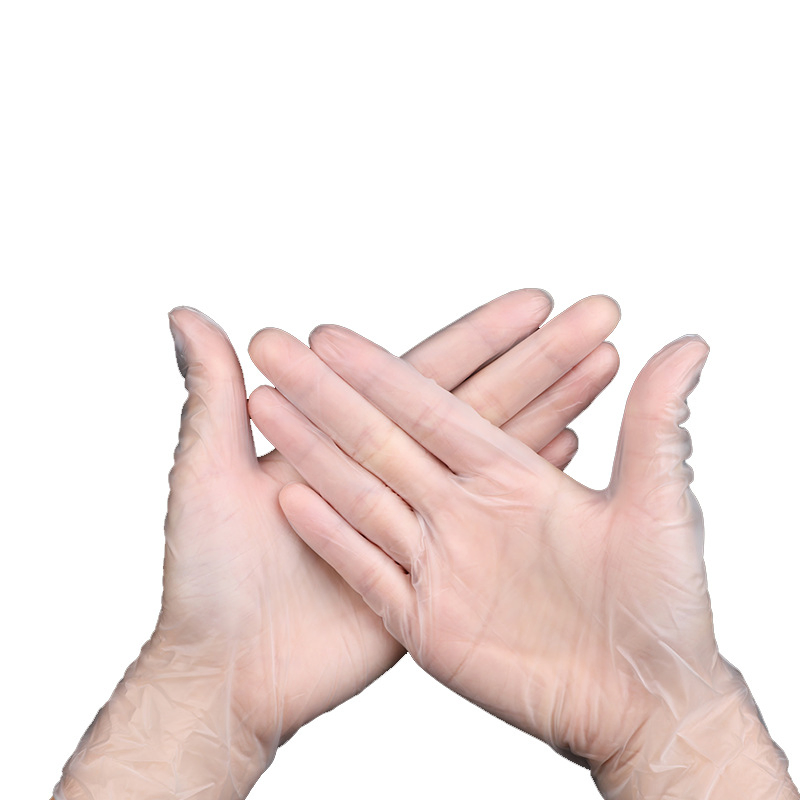 Powdered, Powder Free Vinyl Examination Gloves with CE En455 Certificate