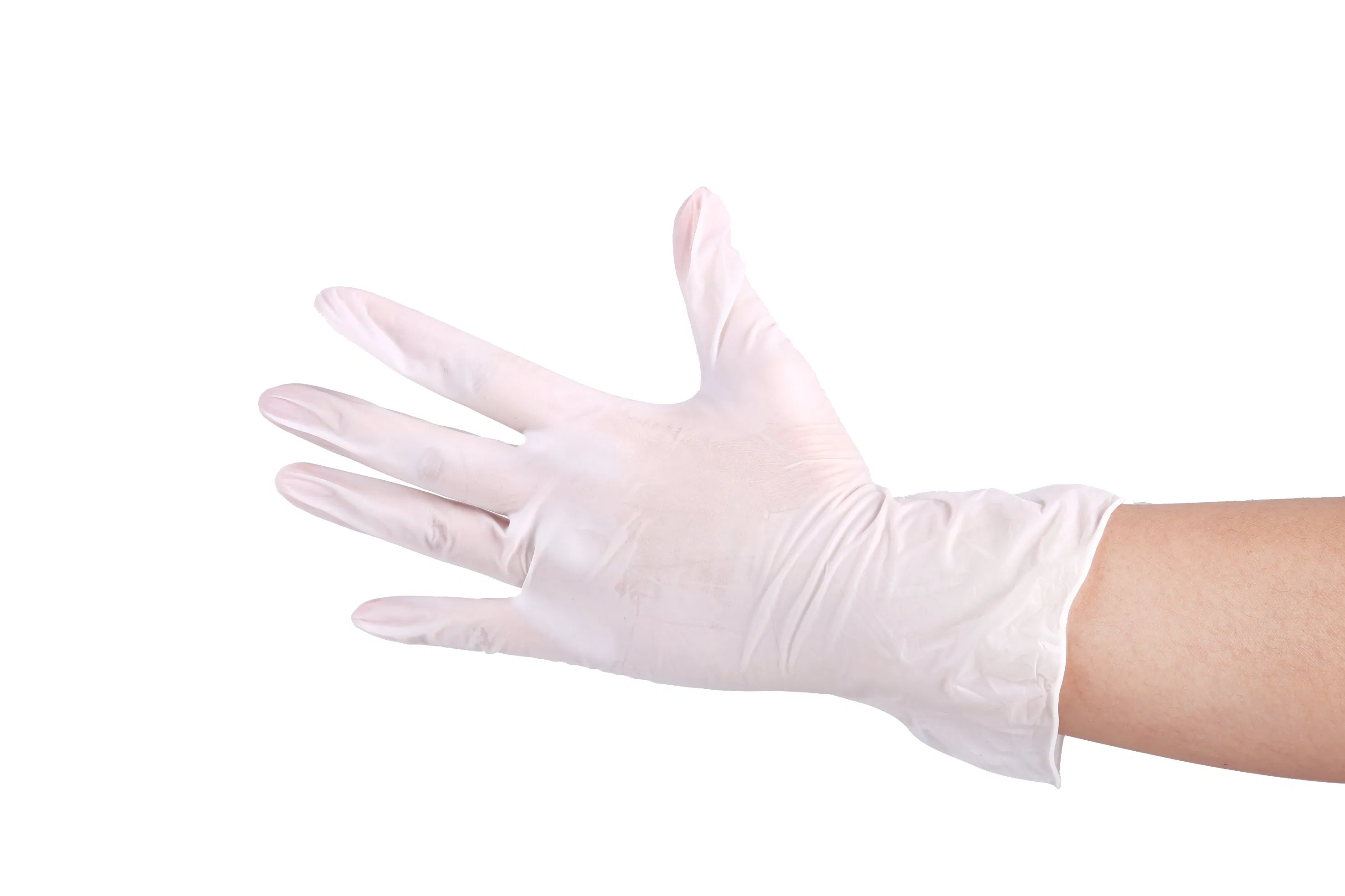 CE Grade Medical Examination Vinyl Glove Powder-Free