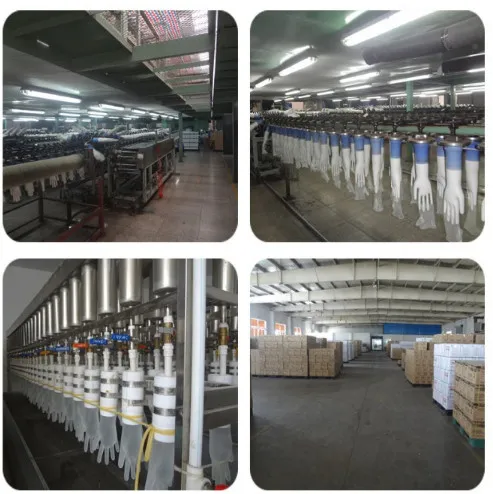 Nitrile Glove View 3