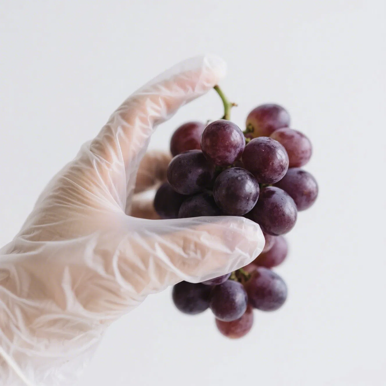 Bulk Pack Disposable Gloves Ambidextrous Latex Free Kitchen Restaurant Use