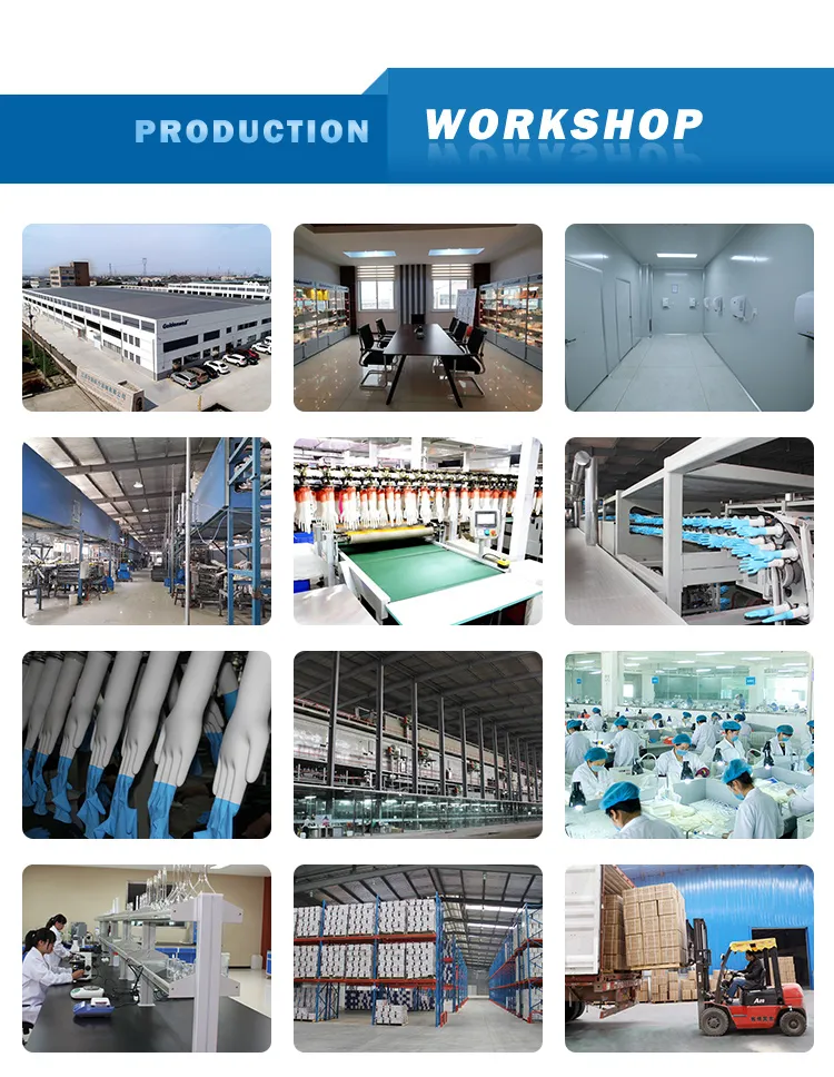 Surgical Gloves View 5