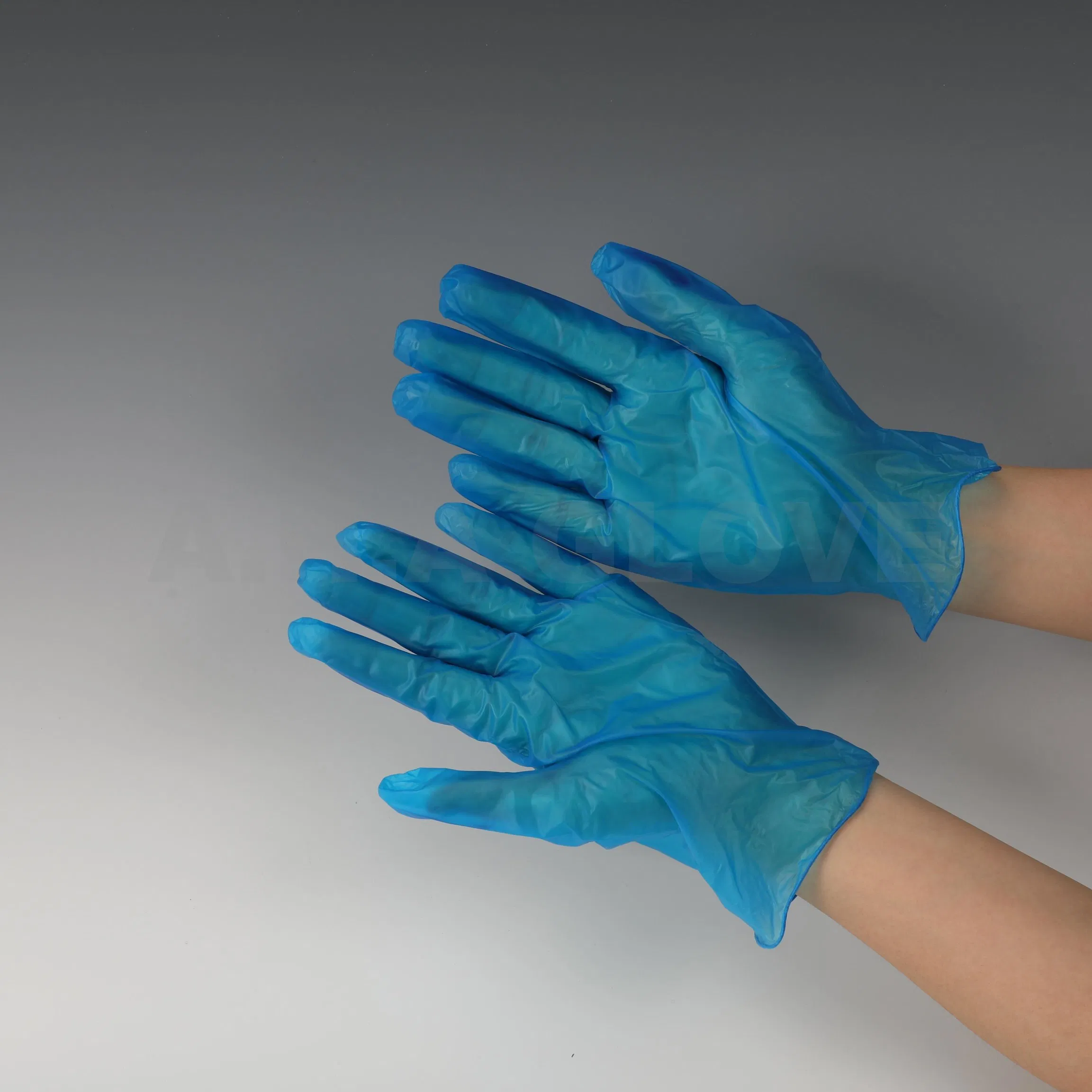 Disposable Blue Vinyl Gloves Powder Free Powdered Food Grade Transparent Plastic PVC Gloves for Safe Food Contact