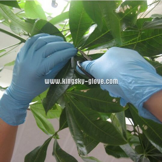 Nitrile Powdered Disposable Gloves Examination Gloves