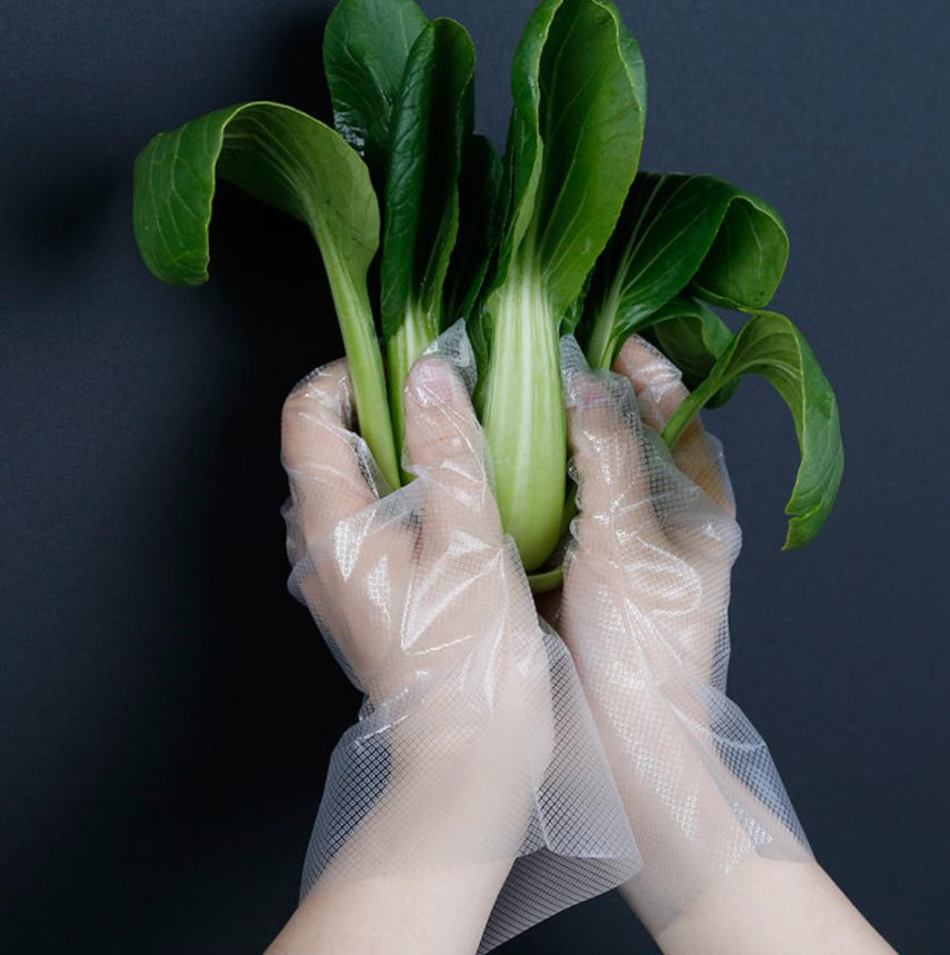 Eco-Friendly TPE Gloves Biodegradable for Food Handling