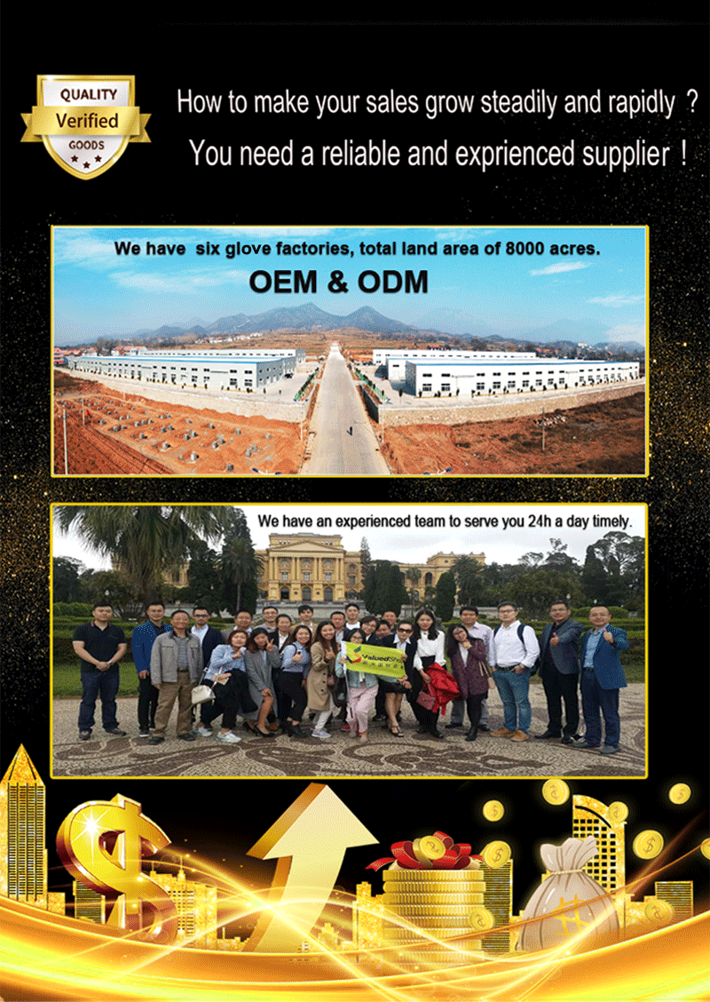 Hand Protection Gloves