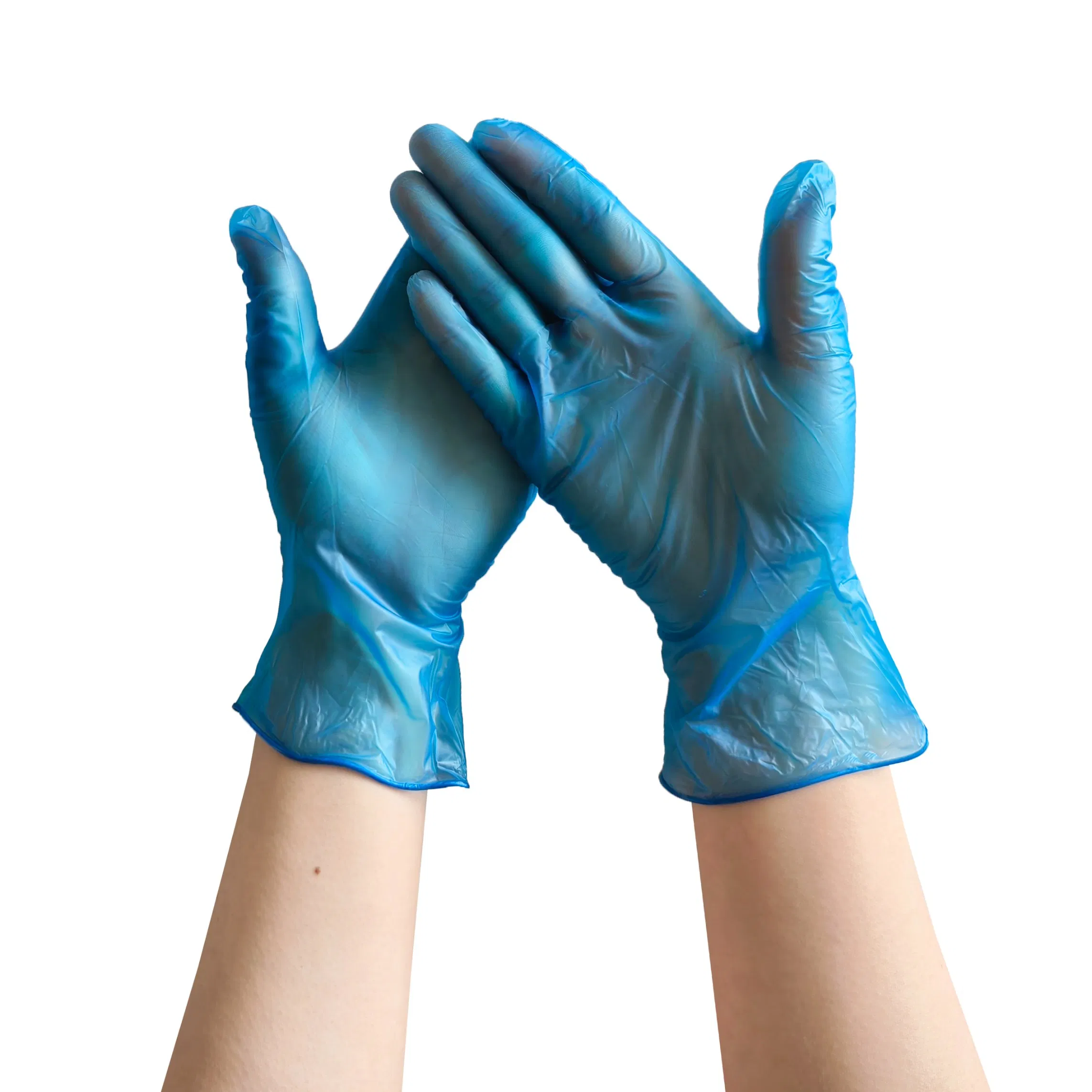 Disposable Protection Household Cleaning Vinyl Gloves, Powder Free, Latex Free, Ambidextrous