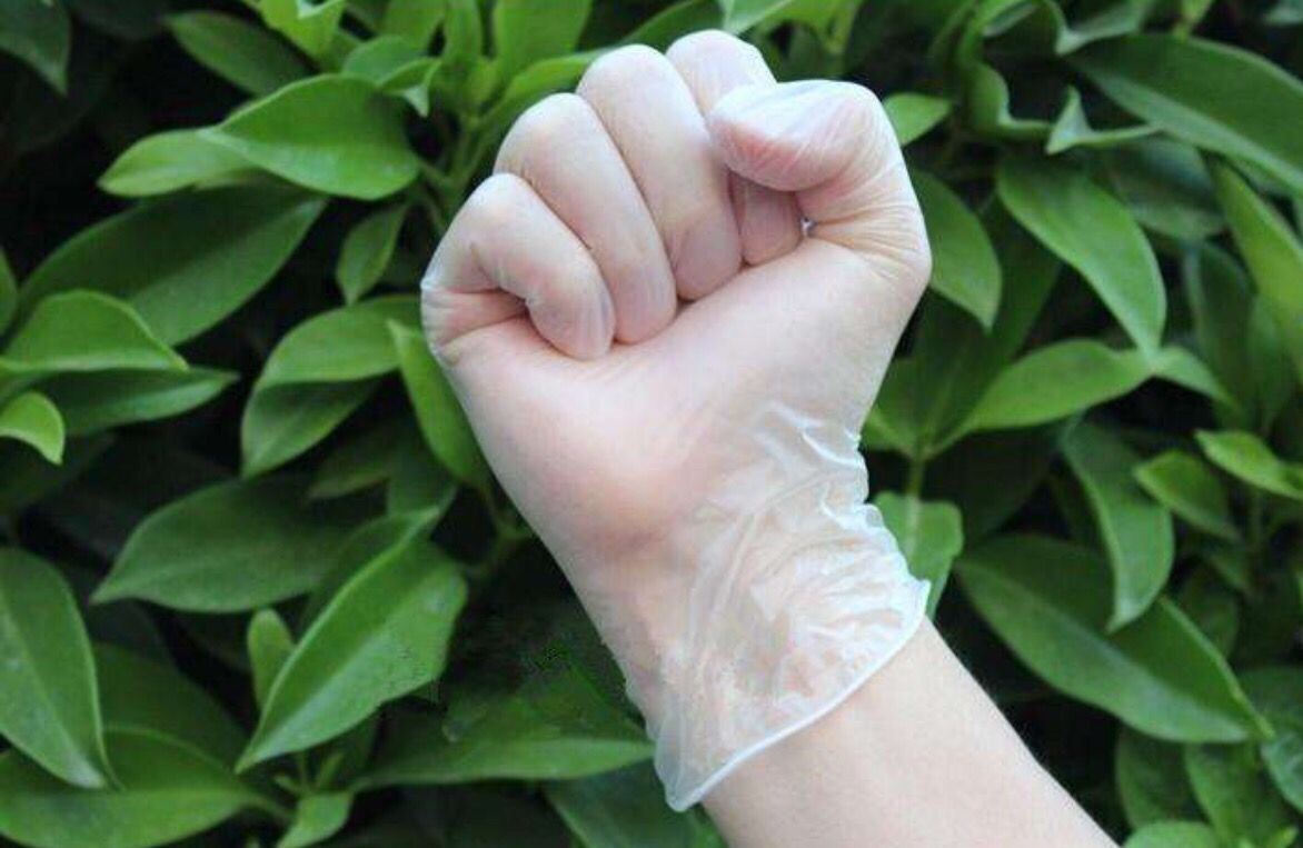 Pre-Powdered Surgical Vinyl Gloves