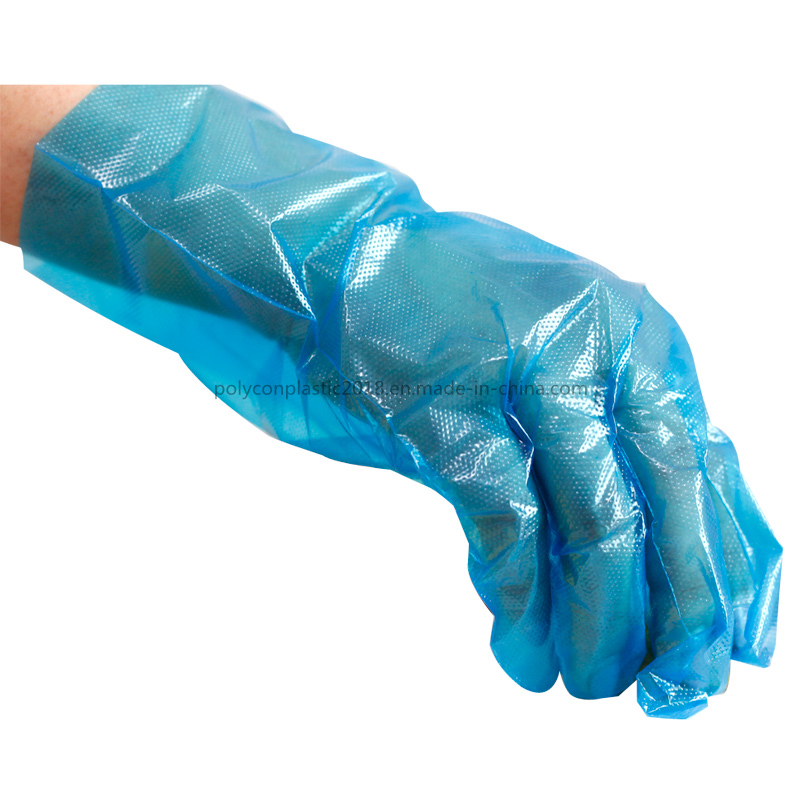 Transparent Food Industry Glove Disposable Food Handling Gloves