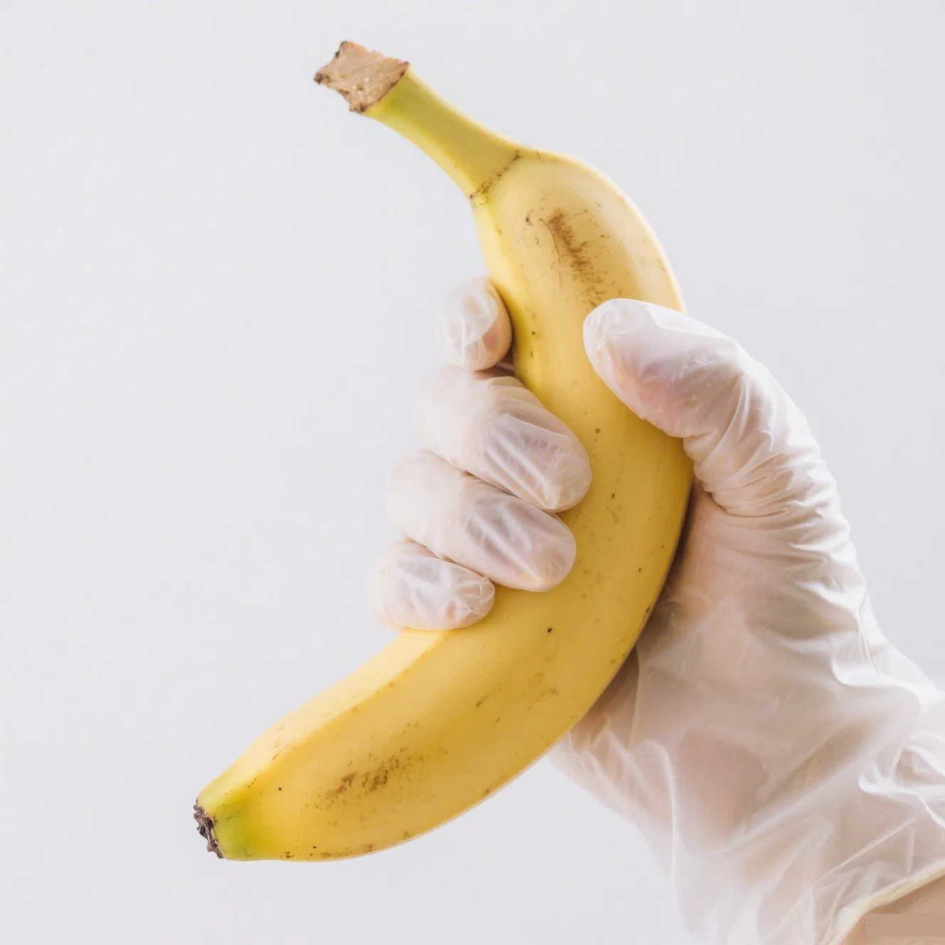 Bulk Pack Disposable Gloves Ambidextrous Latex Free Kitchen Restaurant Use