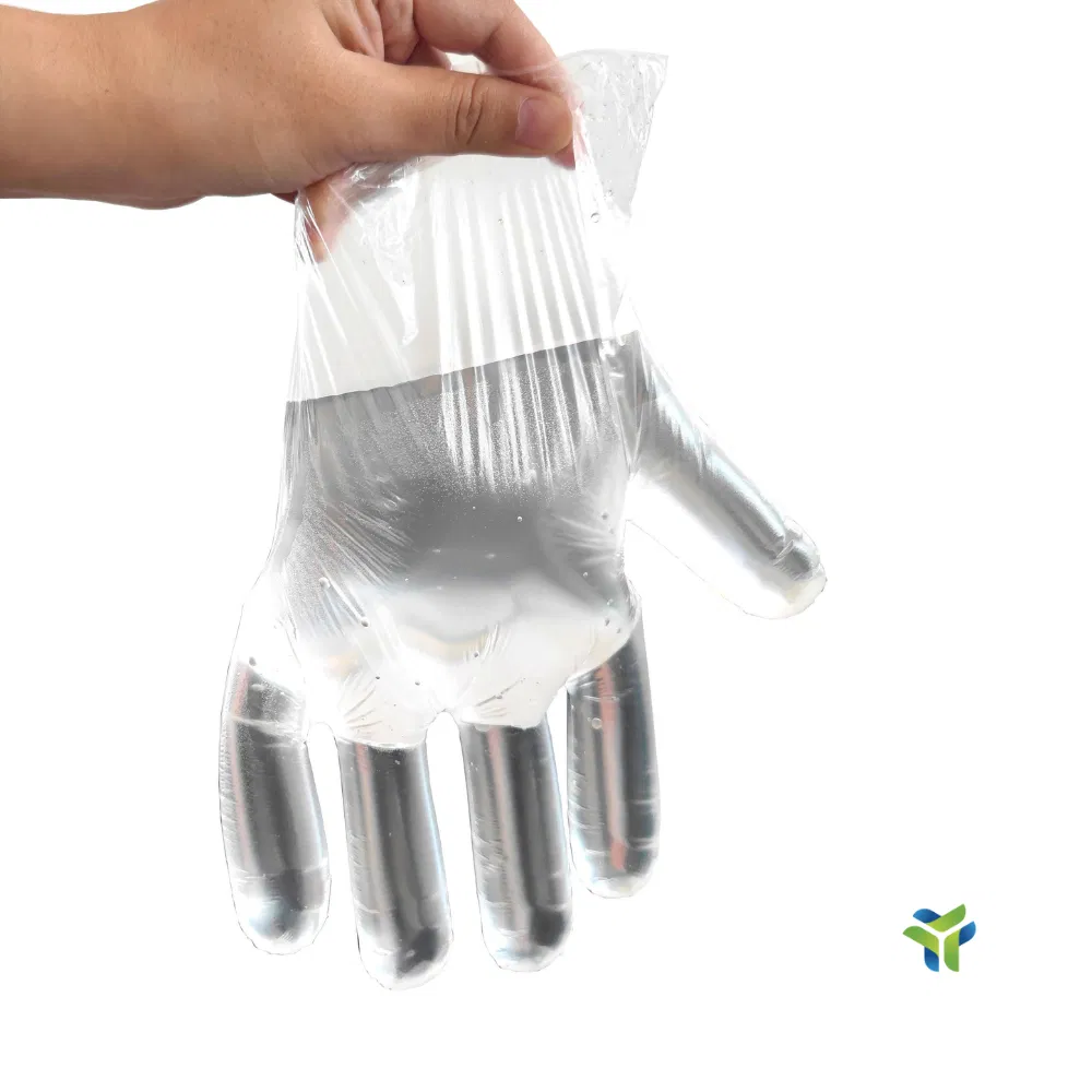 Premium Disposable PE Gloves for Safe Food Handling