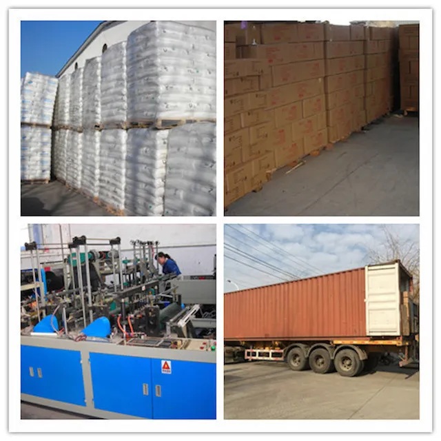 Disposable Protective Gloves