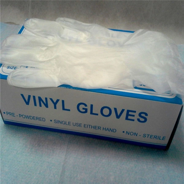 China Wholesale Disposable Powdered Vinyl Gloves Blue