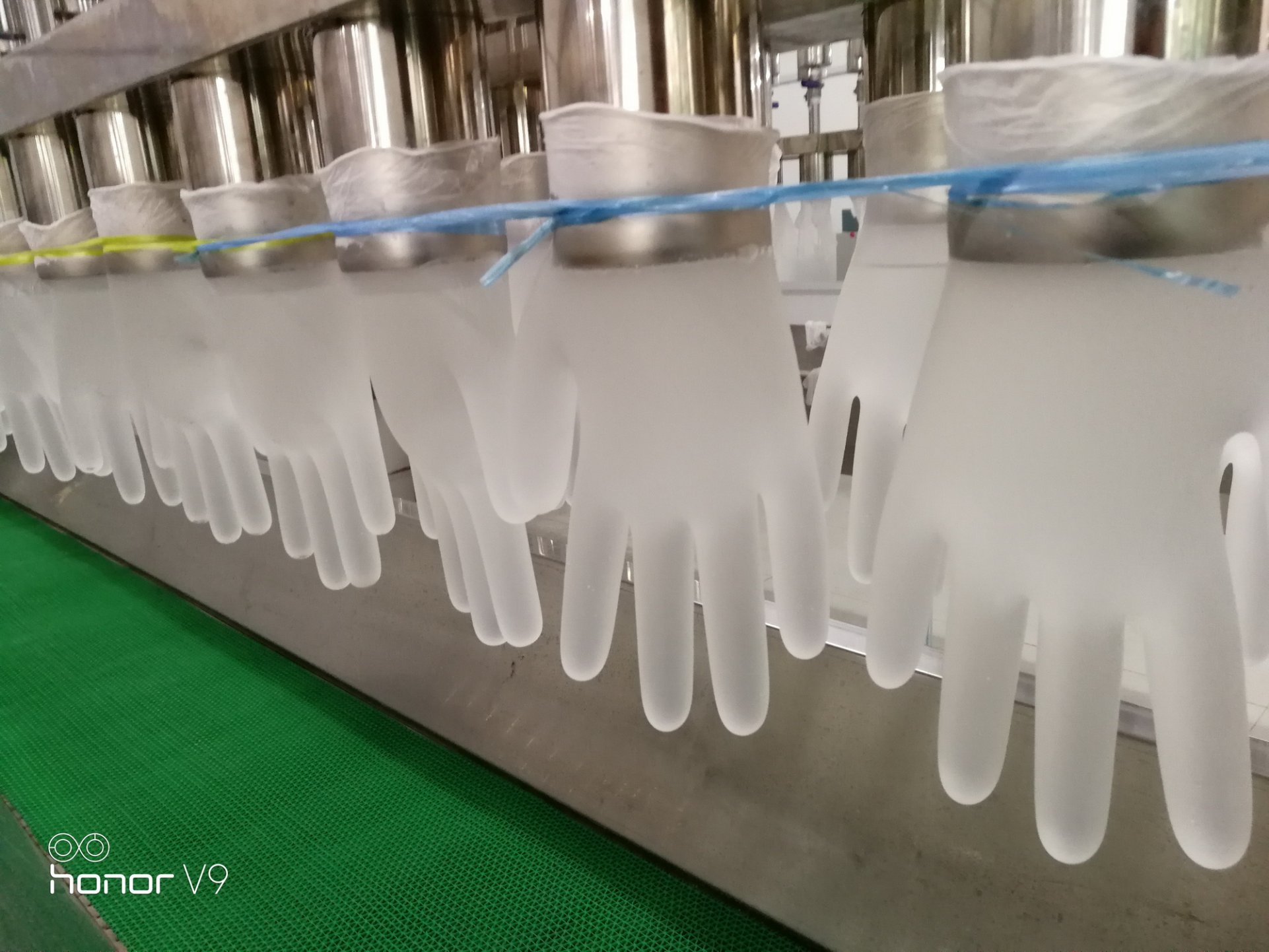 Disposable Red Powder Free Vinyl Gloves for Food Industry