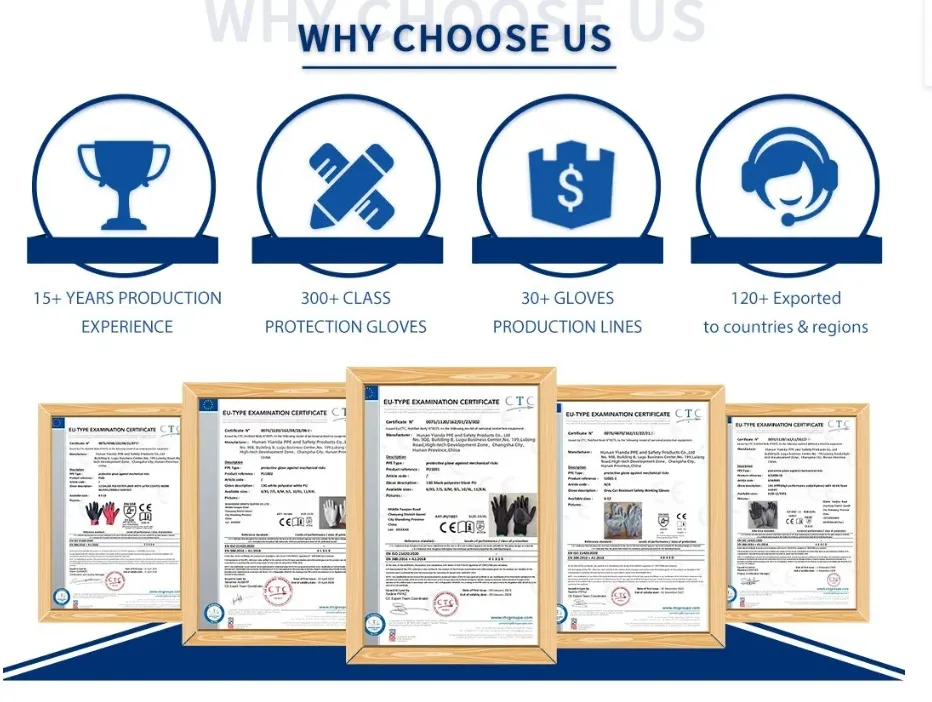 Manufacturing Standards