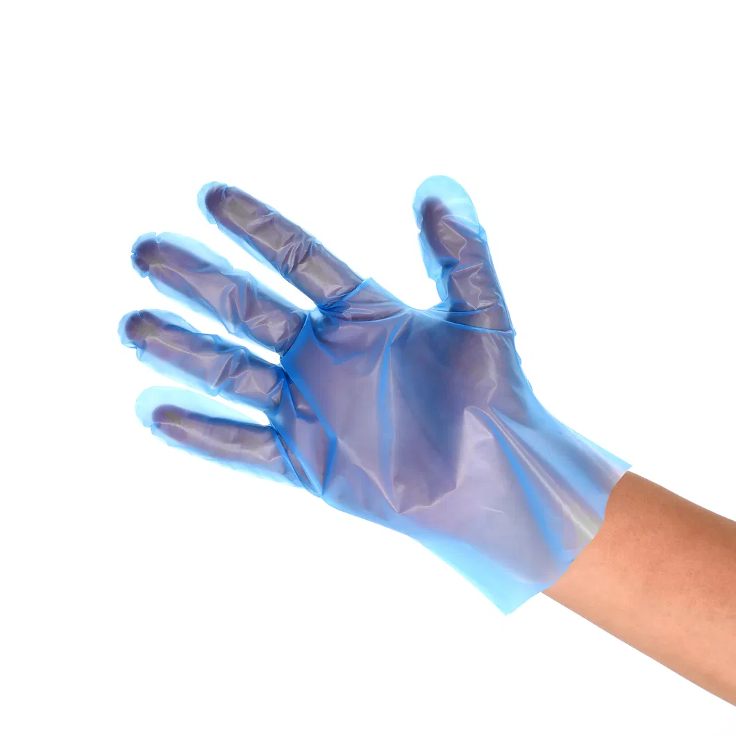 Transparent Plastic Gloves