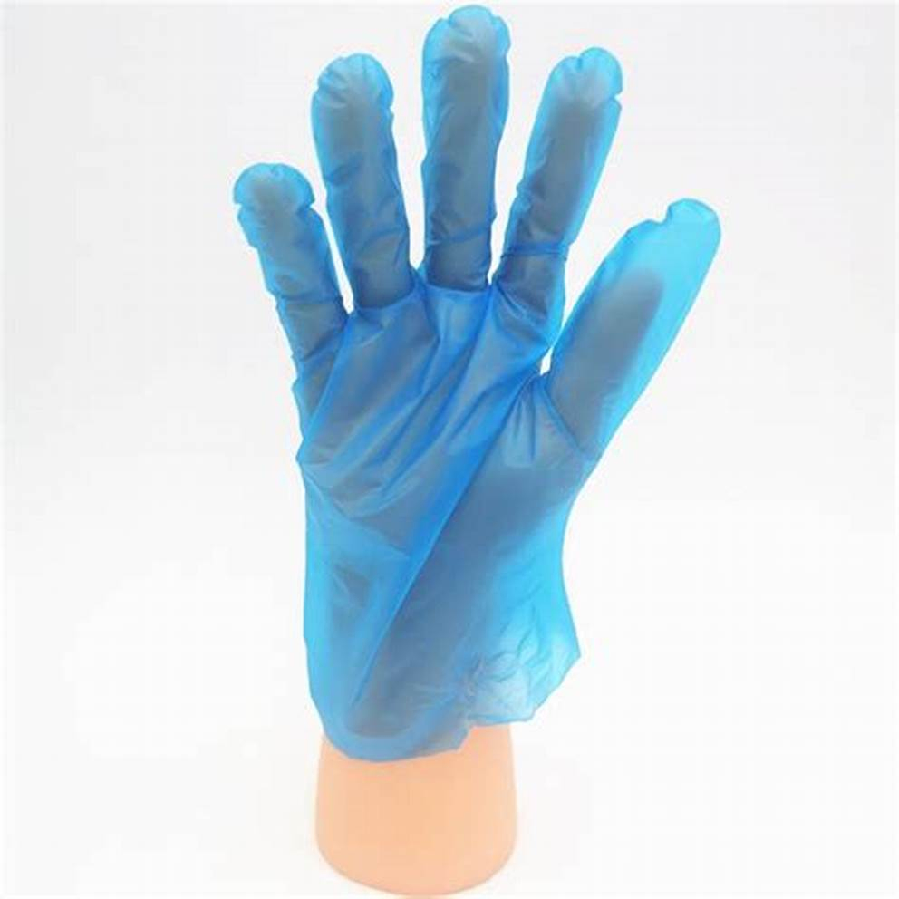 Premium Latex-Free Gloves for Safe Food Handling and Sanitation
