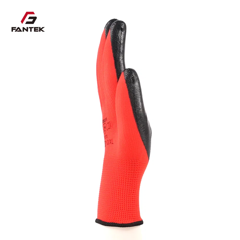 Nitrile Gloves View 1