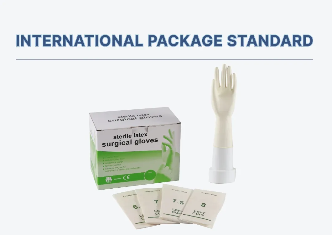 Surgical Gloves View 4