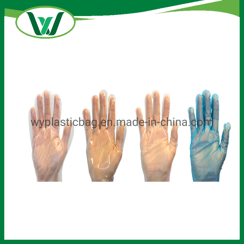 Factory Wholesale PVC TPE HDPE PE Powder Free for Food Clear Transparent Household Cleaning Plastic Disposable Vinyl Gloves