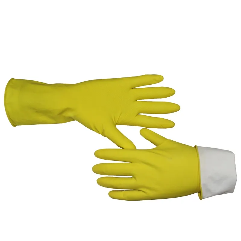 Latex Glove Display 1