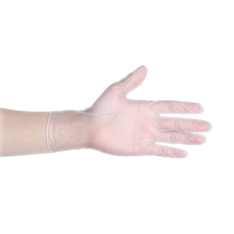 Powdered, Powder Free Vinyl Examination Gloves with CE En455 Certificate