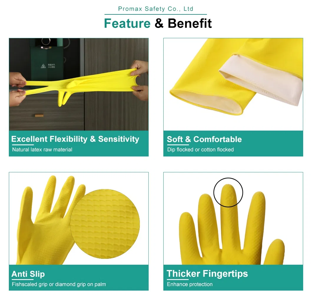 Gloves Feature Details