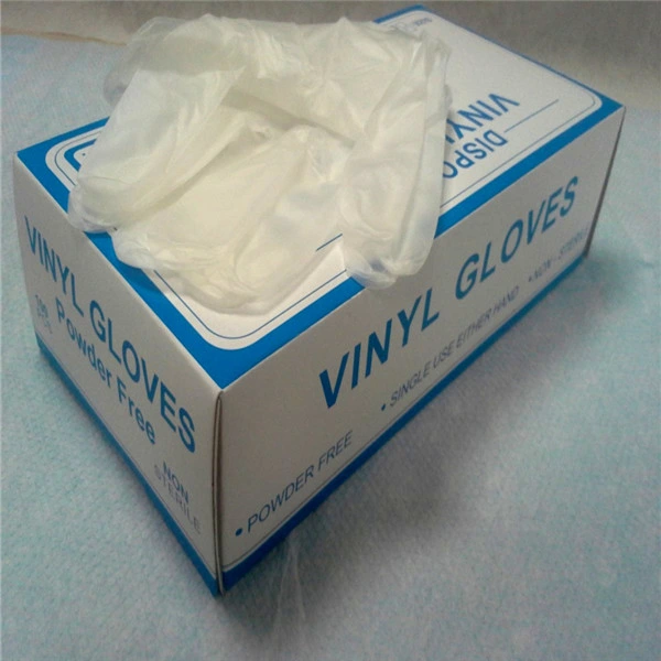 China Wholesale Disposable Powdered Vinyl Gloves Blue