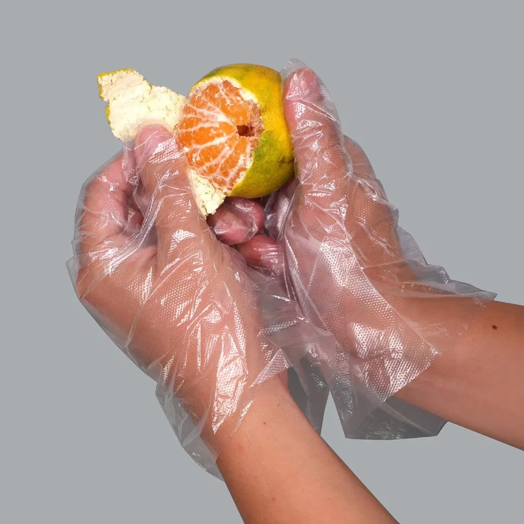 Disposable Multi-Purpose PE Clear Gloves for Food Handling Kitchen Gloves