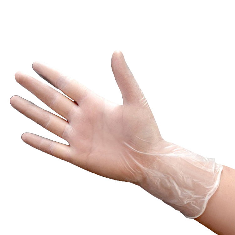 Powdered, Powder Free Vinyl Examination Gloves with CE En455 Certificate