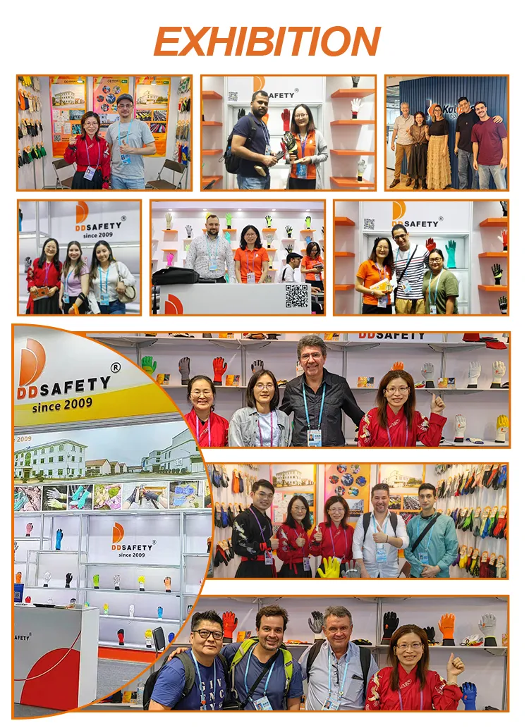 Exhibition and Global Presence