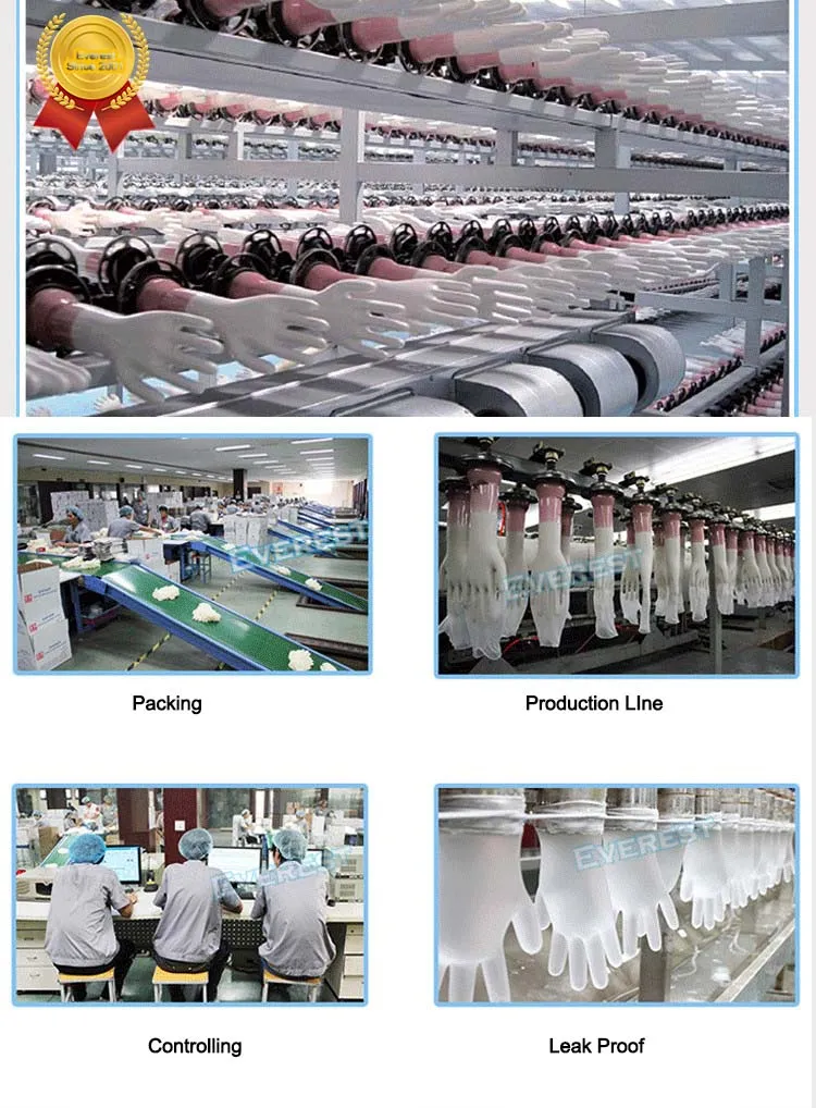 Vinyl Gloves Packaging