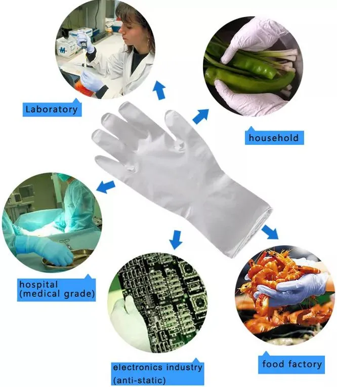 Gloves Application