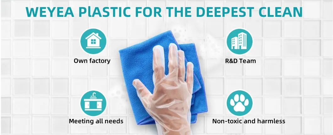Disposable PE Gloves
