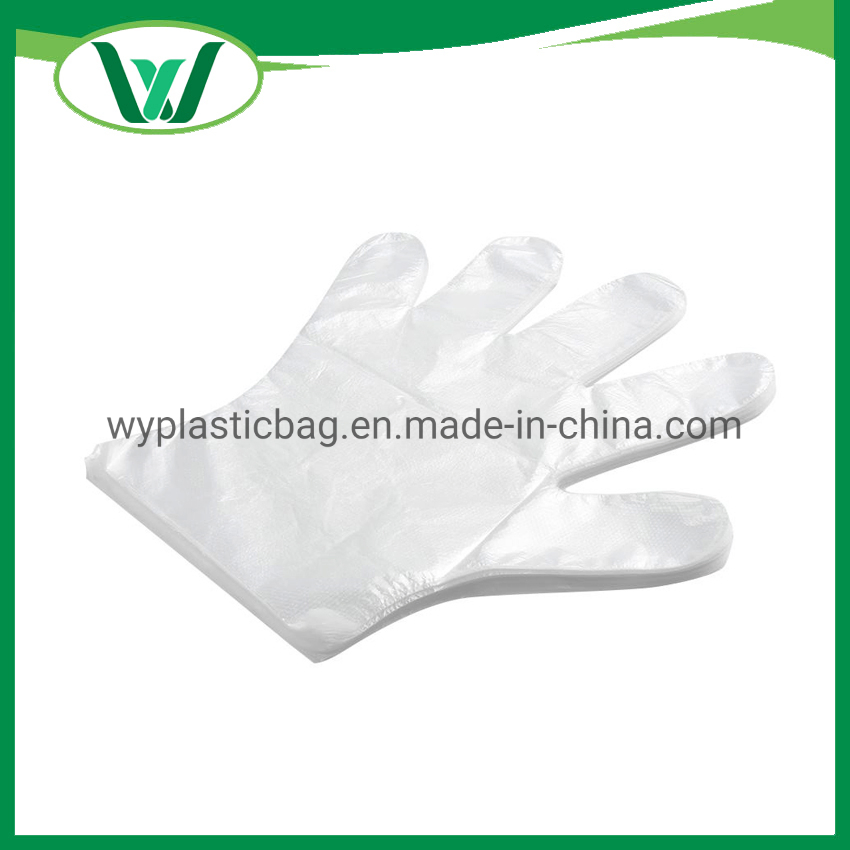 Factory Wholesale PVC TPE HDPE PE Powder Free for Food Clear Transparent Household Cleaning Plastic Disposable Vinyl Gloves