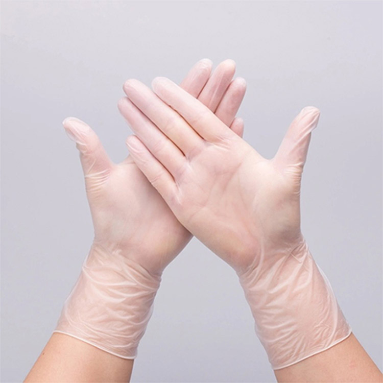 Clear Vinyl Powder Free Exam Gloves