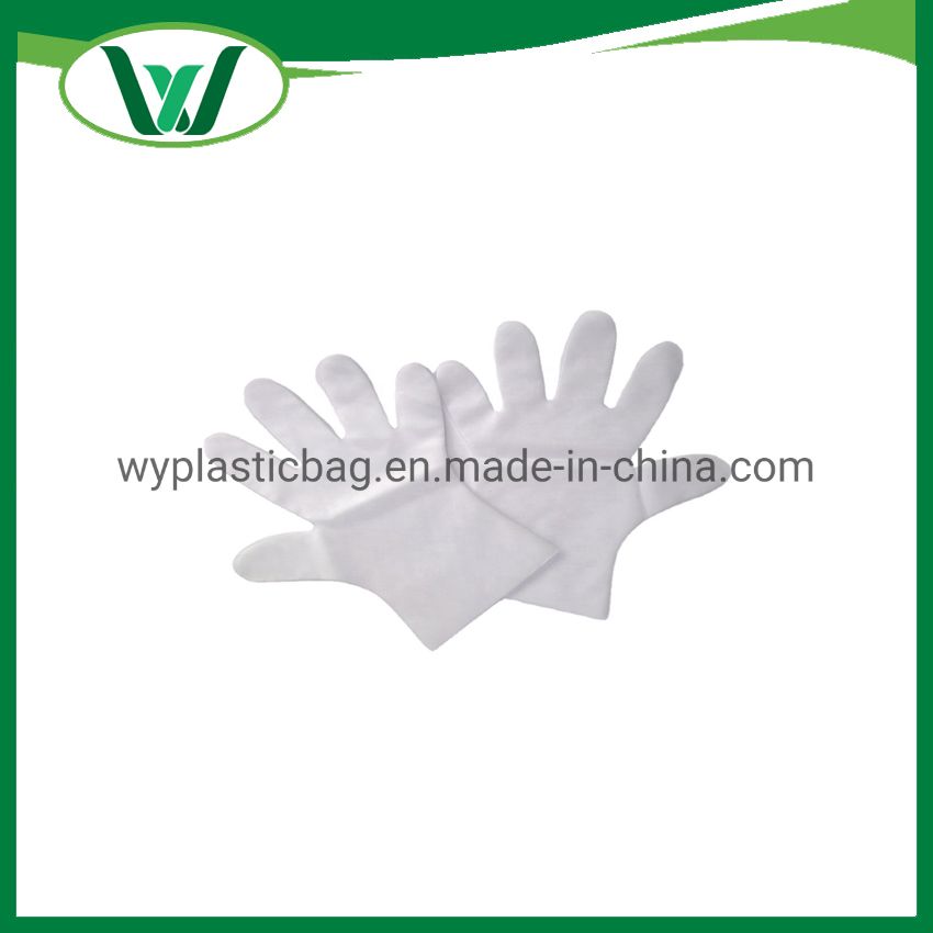 Factory Wholesale PVC TPE HDPE PE Powder Free for Food Clear Transparent Household Cleaning Plastic Disposable Vinyl Gloves