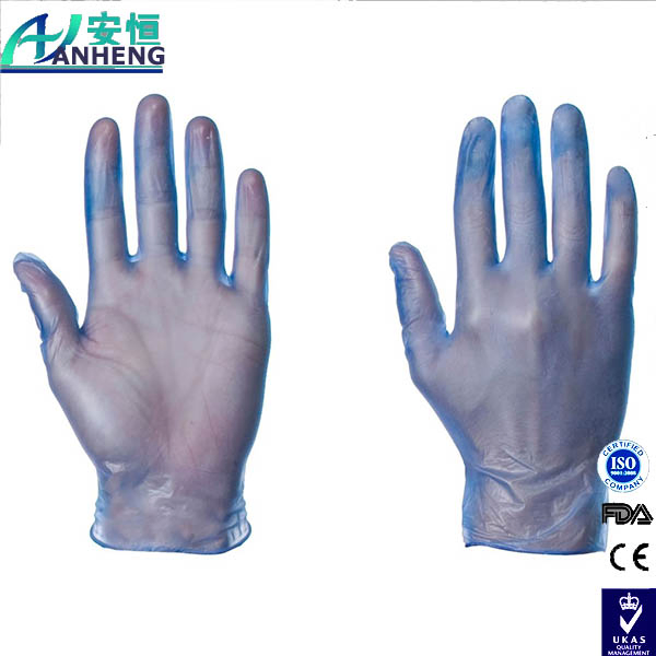 China Wholesale Disposable Powdered Vinyl Gloves Blue