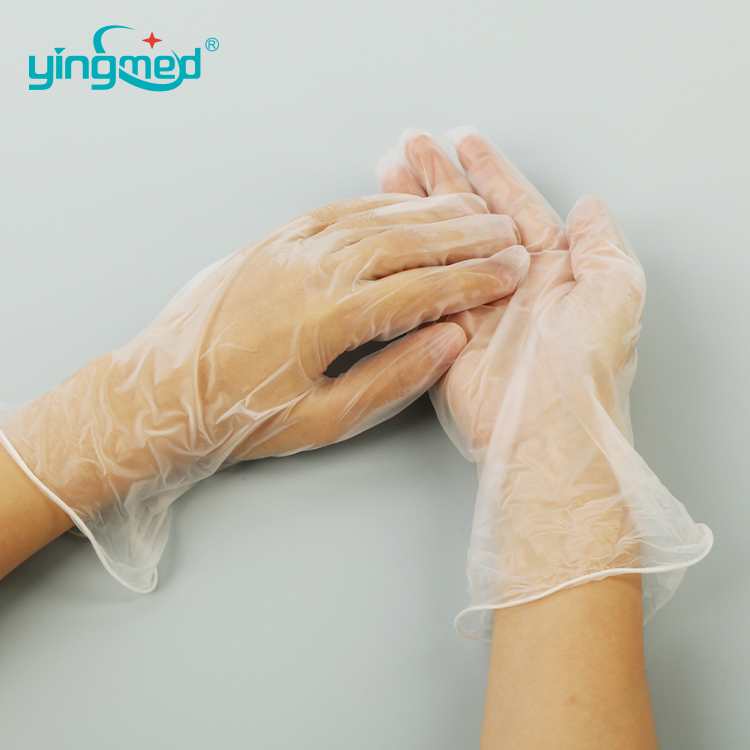 Disposable Clear Vinyl/PVC Gloves Powdered/No Powder Beauty Food Gloves