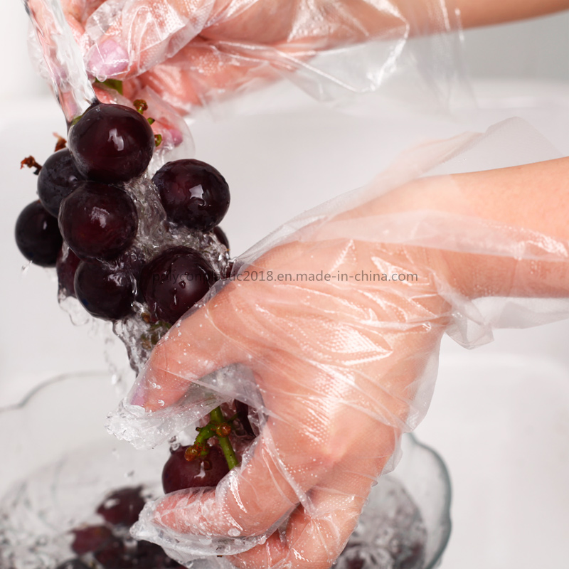 Transparent Food Industry Glove Disposable Food Handling Gloves